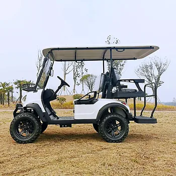 Совершенно новый внедорожный 4-колесный гольф-кар с электроприводом мощностью 60 В 2023 года, 2 + 2 места с откидными сиденьями